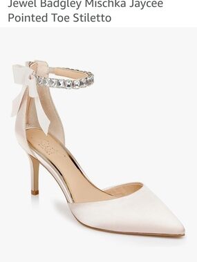 Badgley Mischka Jaycee Pointed Toe Stiletto in (Blush-Nude-Cream)